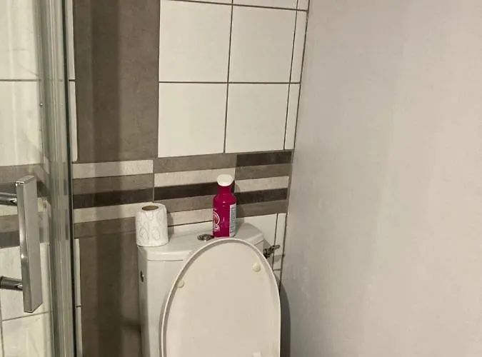 La « cabaneste » Dans Arreau