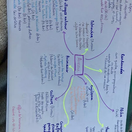 La « cabaneste » Dans *